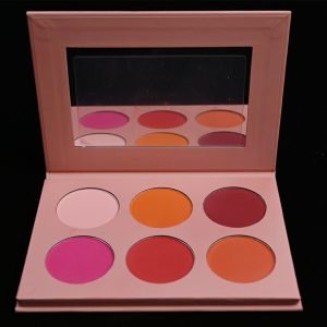 Wholesale Cosmetics High Pigment 6 Colors Blush Makeup Make Your Own Brand Face Blusher Custom Logo Powder Face Blush Palette