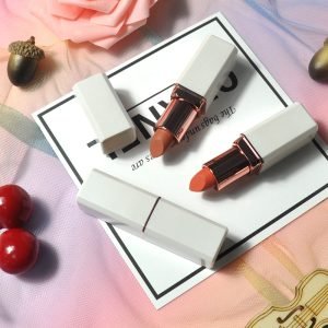 Private Label Lipstick Vegan Color Matte Lipstick Box Package White Tube Cream Solid Lipstick