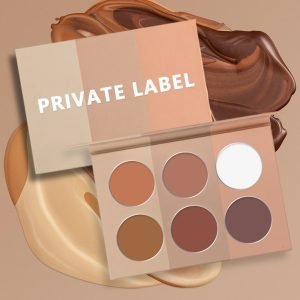 DIY 6 Colors Palette Highlighter Bronzer Blush Contour Powder Makeup Powder Custom logo